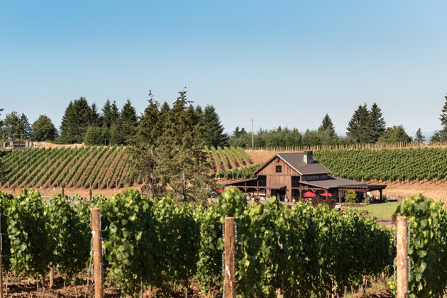 Tumwater vineyard on sale
