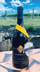 2020 Black Label Chardonnay | Available on-site consumption only - View 2